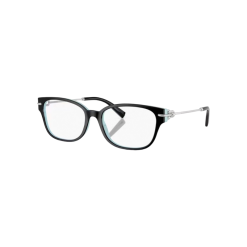 Sunglasses-100033