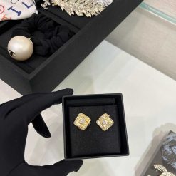 Earrings-310008